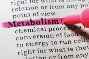 How Protein Powder Can Improve Metabolism